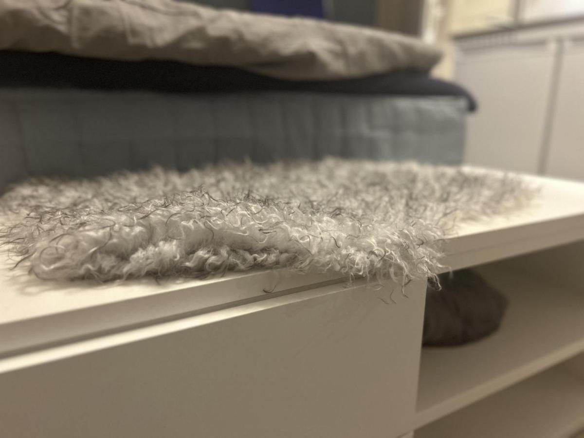 New Studio Apartment In Tromso - Aurora Hotspot 외부 사진
